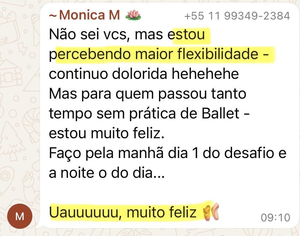 Imagem do WhatsApp de 2025-08-20 à(s) 14.41.33_8e7f0eda